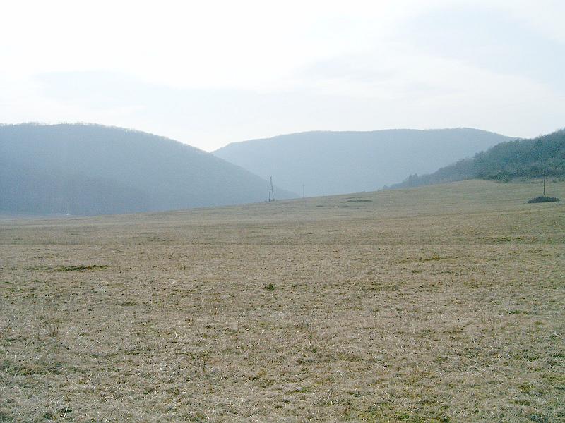 2010.03.20 080.jpg